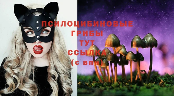гидра Балахна