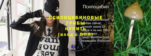 гидра Балахна