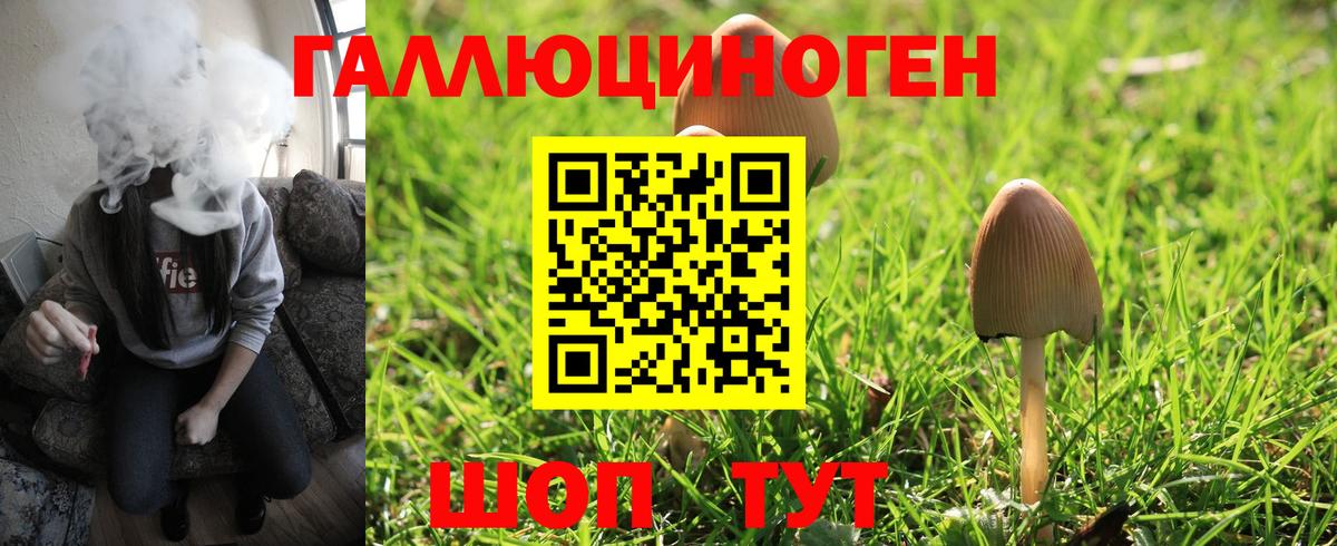 продажа наркотиков  Галлюциногенные грибы прущие грибы  Балтийск  Вход с VPN  Псилоцибиновые грибы GOLDEN TEACHER 