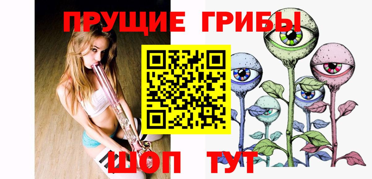Псилоцибиновые грибы Psilocybe Балтийск
